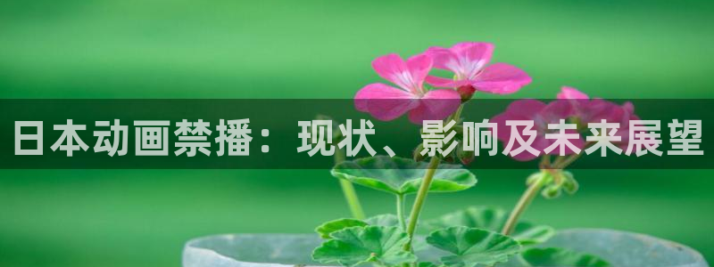 蒂法3d区樱花动漫：日本动画禁播：现状、影响及未来展望