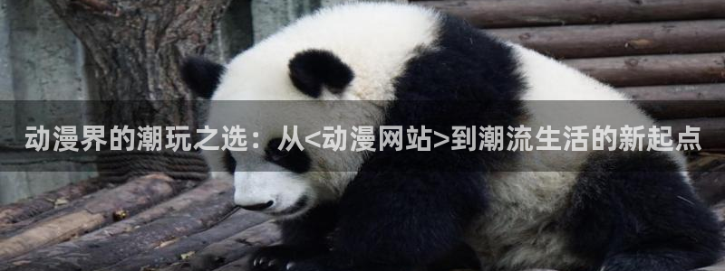 甲贺忍法帖樱花动漫：动漫界的潮玩之选：从<动漫网站>到潮流生活的新起点