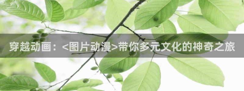 哥布林杀手第二季樱花动漫：穿越动画：<图片动漫>带你多元文化的神奇之旅